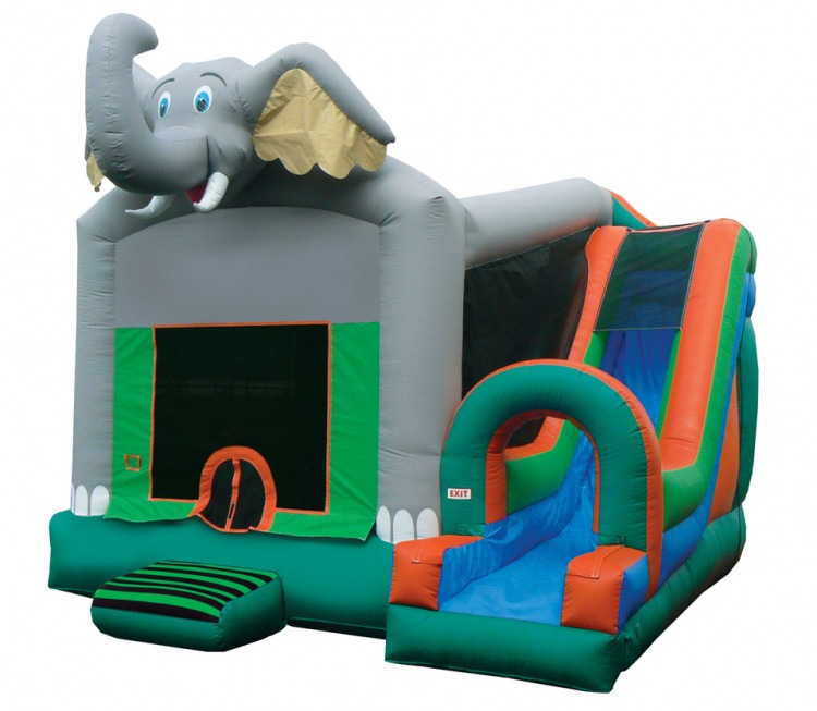 Bounce House W/ Slide